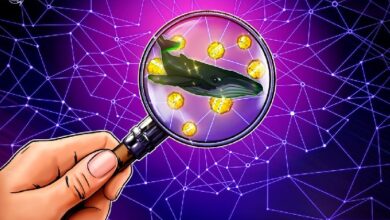 Глава CryptoQuant увидел по китам признаки разворота биткоина — Крипто Новости