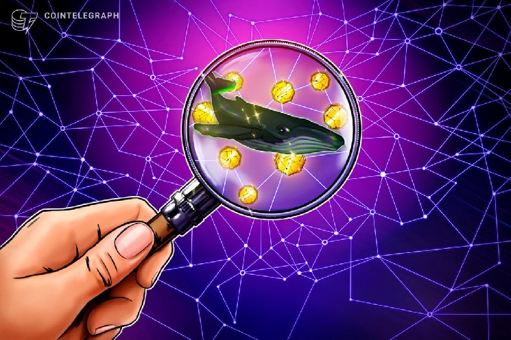 Глава CryptoQuant увидел по китам признаки разворота биткоина — Крипто Новости