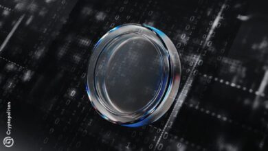 Хакер из Blockstream, использующий технологию Liquid, требует награду за оставшиеся 600 BTC — Крипто Новости