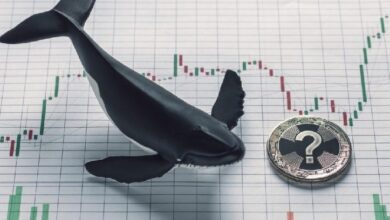 Интенсивная активность крупных инвесторов в биткоине и альткоинах после публикации данных об инфляции! Подробности — Крипто Новости
