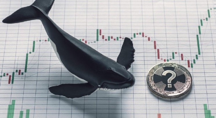 Интенсивная активность крупных инвесторов в биткоине и альткоинах после публикации данных об инфляции! Подробности — Крипто Новости