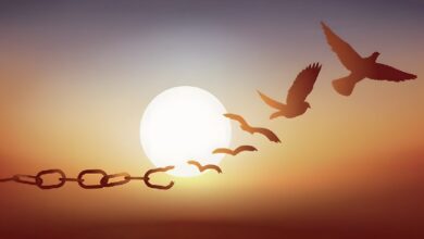 Конференция Bitcoin 2025: главной темой стала свобода — Крипто Новости