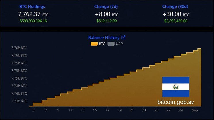 Несмотря на оговорки МВФ, запасы биткойнов в Сальвадоре выросли до 7 762 BTC &mdash; Крипто Новости