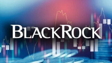 Продукт BlackRock IBIT обеспечивает почти весь приток в Bitcoin ETF в 2025 году — Крипто Новости