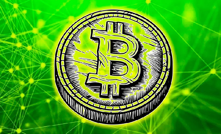 Rainforest Foundation планирует создать биткоин-резерв — Крипто Новости