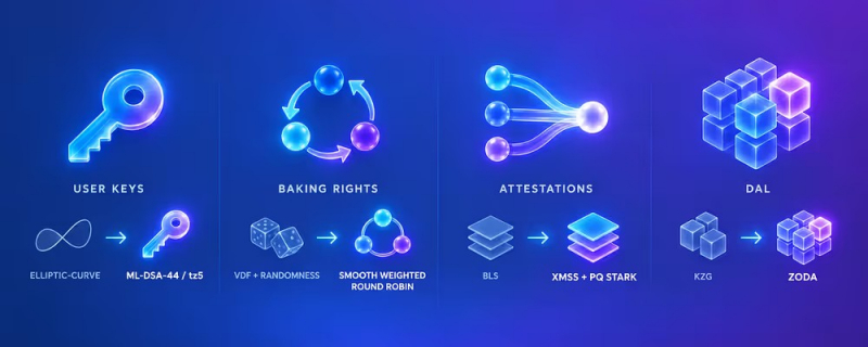 Разработчики Tezos запустили постквантовую тестовую сеть Quantumnet — Крипто Новости