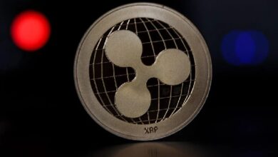 Ripple (XRP) неожиданно быстро вырос в одной области! Опубликованы последние данные — Крипто Новости
