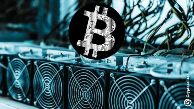 Всё больше майнеров Bitcoin полностью отказываются от майнинга биткоинов, поскольку инвестиции в ИИ и высокопроизводительные cash продолжают поступать — Крипто Новости