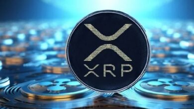 XRP достиг нового рекорда: пик транзакционного трафика! Что это значит? — Крипто Новости