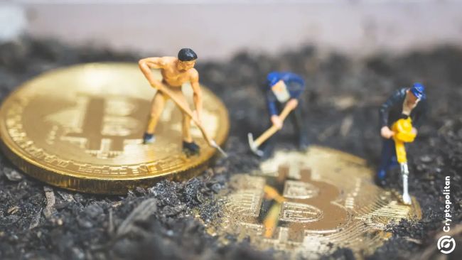 Акции BTC-майнеров падают с пиков 2026 на фоне бумового нарратива вокруг ИИ — Крипто Новости