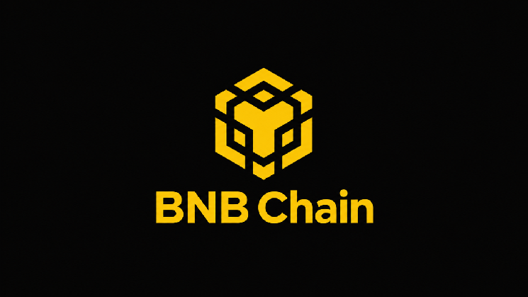 BNB Chain: держателей RWA достигло 2 млн — 40% рынка ончейн-активов — Крипто Новости