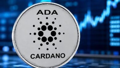 Cardano нашла крупного партнера из Бразилии: нефтяной гигант внедряет авиационное топливо в блокчейн! Вот подробности — Крипто Новости