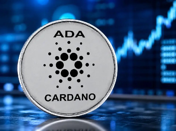 Cardano нашла крупного партнера из Бразилии: нефтяной гигант внедряет авиационное топливо в блокчейн! Вот подробности — Крипто Новости