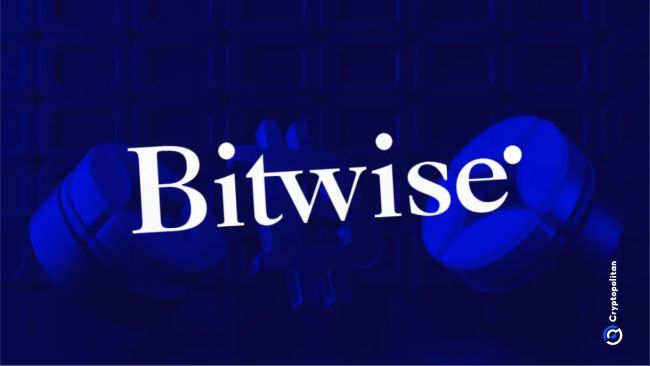 CIO Bitwise: биткоин выигрывает во всех трех сценариях на фоне растущих макроэкономических рисков — Крипто Новости
