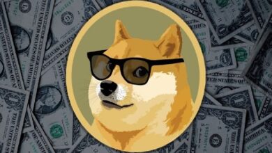 Для Dogecoin начинается новая эра: запущена сеть смарт-контрактов на базе DOGE! — Крипто Новости