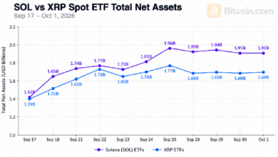 ETF на Solana обогнали фонды XRP по объему активов, достигшему 1,91 млрд долларов — Крипто Новости