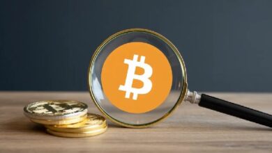 Генеральный директор Fidelity Юрриен Тиммер представил новую модель инвестиционного портфеля! Какой процент биткоина занимает в портфеле? — Крипто Новости