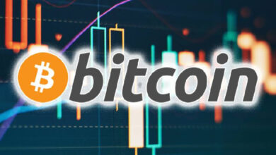 Капитализация BTC выросла на 22,5% с выборов Трампа — Крипто Новости