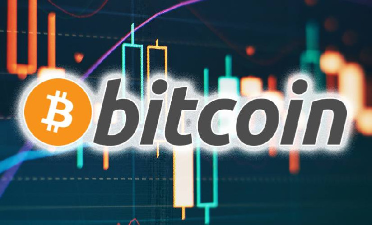 Капитализация BTC выросла на 22,5% с выборов Трампа — Крипто Новости
