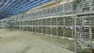 В России сократилось количество майнеров — Крипто Новости